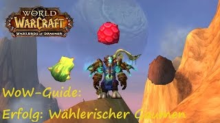 WoWGuide Erfolg Wählerischer Gaumen [upl. by Norrahc673]