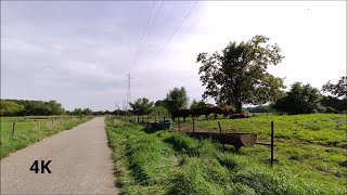 Balade relaxante le long de la Moselle  Relaxing walk along the river Moselle  4K [upl. by Aisyram591]