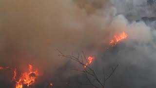 Incêndio em Palmela e Serra da Arrábida [upl. by Eleik]