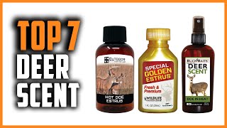 Best Deer Scent in 2024  Top 7 Deer Scents Attractant Review [upl. by Siward257]