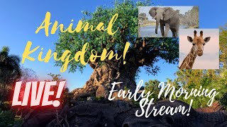 🔴LIVE Disney’s Animal Kingdom  Disney World Livestream  912024 [upl. by Marjorie]