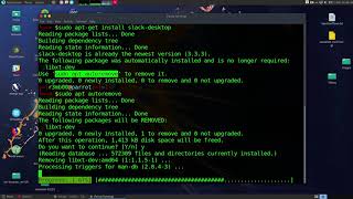 How to install Slack with Terminal on Parrot Security Linux [upl. by Zoila693]