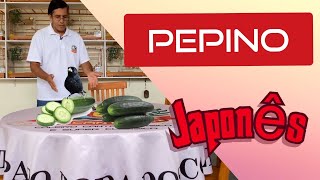 BENEFÍCIOS DO PEPINO JAPONÊS PARA NOSSAS AVES [upl. by Rayner]