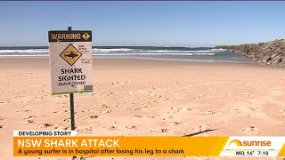 Surfer Mauled by 3 Meter Great White Shark [upl. by Svirad]