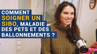 AVS Comment soigner un SIBO maladie des pets et des ballonnements   Dora Moutot [upl. by Milissent]