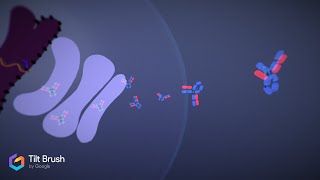 Bioproduction dun anticorps monoclonal [upl. by Evreh]