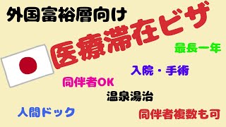 151 【国家戦略】医療滞在ビザ（外国人向け）｜医療インバウンドは国家戦略｜対象者・期間などの簡単まとめ [upl. by Airtemad]