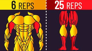 The Optimal Rep Range for Each Muscle Is it TRUE [upl. by Tessil]