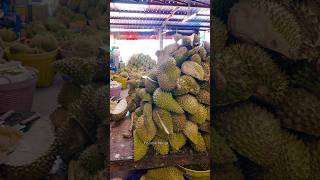 Lot of Giant Durian Cutting in Thailand Thai Street Food [upl. by Nani]