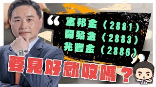 兆豐金2886開發金2883富邦金2881，要見好就收嗎？ [upl. by Yelha91]