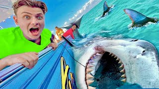 Catch the Biggest Shark and Win Shark Week Special [upl. by Trauner225]