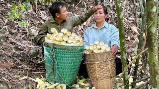 Harvesting Bamboo Shoots How To Make Delicious Bamboo Shoot Rolls [upl. by Belita]