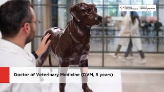 School of Veterinary Medicine [upl. by Lleryd899]