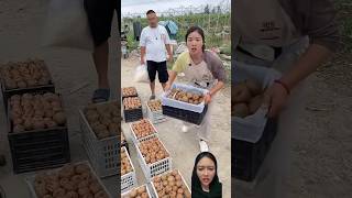 BUAH KIWINYA KOK DI BUANG fruit food satisfying viralvideo dubbing funny shortvideo [upl. by Eustacia422]