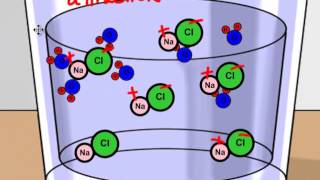 Solubility and SoluteSolvent Interactions Chemistry Lecture  Sabaqpk [upl. by Anived939]