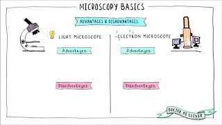 MICROSCOPY BASICS AQA 91 GSCE Biology Topic 1 Cell Biology [upl. by Cornelie249]