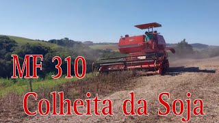 Colheita da Soja MF 310Safra 2024 [upl. by Furgeson]