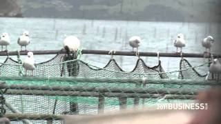 Duncan Bates  Akaroa Salmon [upl. by Rabassa]