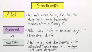 Erbgänge dominantrezessiv intermediär und kodominant  Biologie  Genetik [upl. by Eirojram]