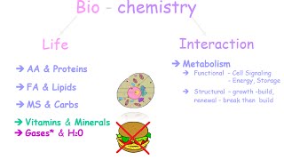 An Introduction to Biochemistry [upl. by Frere]