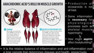 PUFAs Basics of Arachidonic Acid and its Metabolism [upl. by Eilrac]