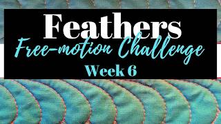 Fun Feather Design for Borders Freemotion Challenge Quilting Along with Angela Walters Week 6 [upl. by Garth]