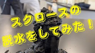 【化学実験】スクロースの脱水（濃硫酸による脱水） [upl. by Atinoj]