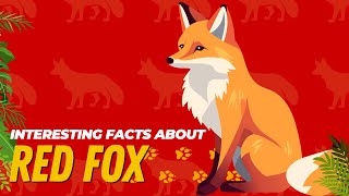 🦊 Surprising facts about Foxes 🦊 You didnt know [upl. by Kuhn]