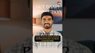 Gut Brain Axis part 2 diet health healthylifestyle guthealth [upl. by Maurise]