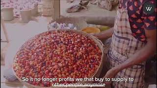 Trading Oil Palm Fruit with Simon Udochukwu [upl. by Normie]