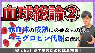 総論血球について② 間接ビリルビンや直接ビリルビンについて詳しく解説！ [upl. by Emearg571]