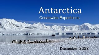 Basecamp Antarctica on board Ortelius Dec 2022 [upl. by Dazraf422]