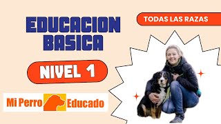 Adiestramiento Canino Nivel Básico en Mi Perro Educado [upl. by Eehsar]