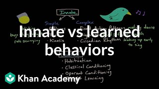 Operant conditioning Innate vs learned behaviors  Behavior  MCAT  Khan Academy [upl. by Aliakam350]