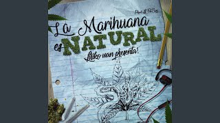 La Marihuana Es Natural Remix [upl. by Noslien978]