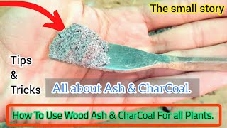 Use of CharCoal amp Wood Ash in Plants  Best Homemade Organic Fertilizer For Plants  The Small Story [upl. by Ainoloppa]