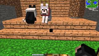 como domesticar lobos en minecraft 152 y todas las versiones 2014 HD [upl. by Agosto562]