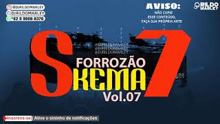 FORROZÃO SKEMA 7 VOL 07 PRA RECORDAR CANAL DJ RILDO MARLEY [upl. by Dib]