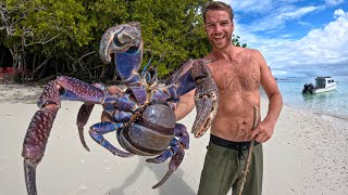 RARE GIANT LAND CRAB Largest In the World [upl. by Anahpets]