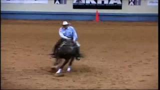 Buckshot Whiz and Bill Horn at 2007 NRHA Futurity [upl. by Yesac]