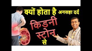 क्यों होता है अनसहा दर्द किडनी स्टोन से Hindi Why Severe Pain in Kidney Stone [upl. by Drofiar588]