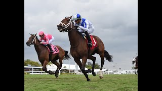 Gulfstream Park Resumen  10 de Marzo 2024 [upl. by Lavery]