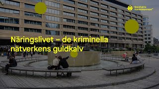 Näringslivet – de kriminella nätverkens guldkalv [upl. by Iredale106]