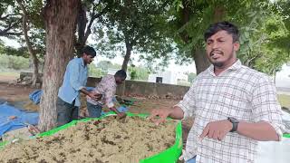 How to make vermicompost vermicompostImproves soil aerationmittasteluguvlogs6521 [upl. by Spalla]