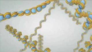 The Epigenome at a Glance [upl. by Yllor405]