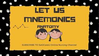 Anatomy Mnemonics Now Learn Everything Easily [upl. by Sana]