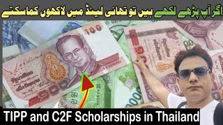 Top Study Scholarships for Foreigners in Thailand  TIPP Scholarship and C2F Scholarships [upl. by Fisher]