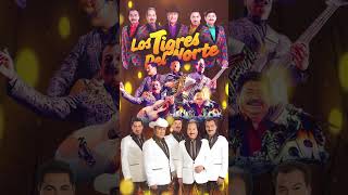 Los Tigres del Norte Mix de Corridos Chingones Puros Corridos Mix norteñasmix shorts short [upl. by Anabahs100]