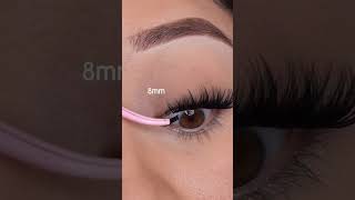 How to Apply amp Remove DIY Cluster Lashes A Must have guide for Beginners [upl. by Gorden]