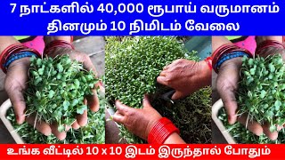 7 நாட்களில் 40000 ரூபாய் வருமானம் தினமும் 10 நிமிடம் வேலை ​ Small Business Ideas  Tamil [upl. by Ylellan]